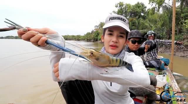 湄公河一天可以钓10多斤大河虾这种超大的巨型河虾你见过吗