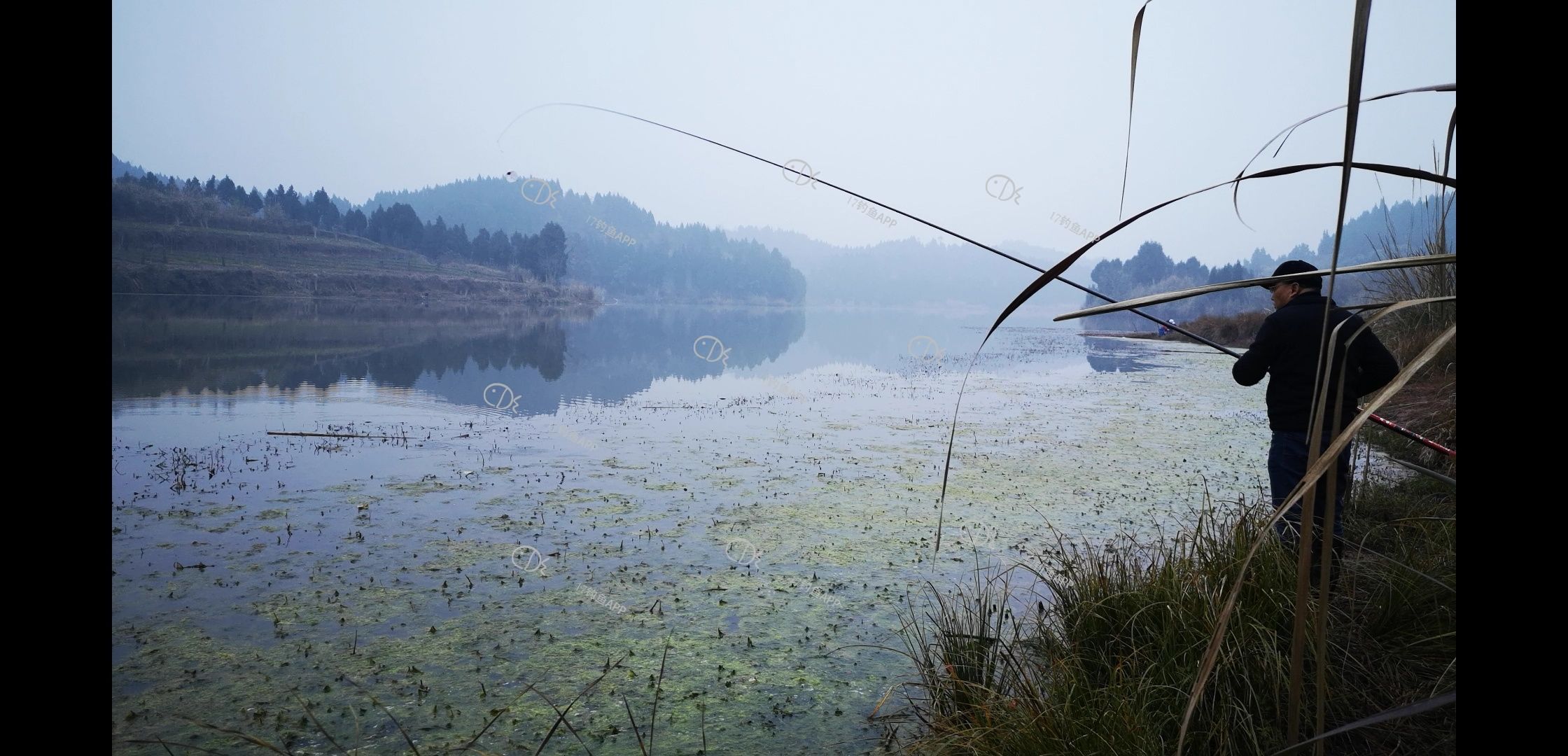 四川乐至的这个水库才巴适,鲫鱼大,鲤鱼多,风景美,而且钓鱼不收费.