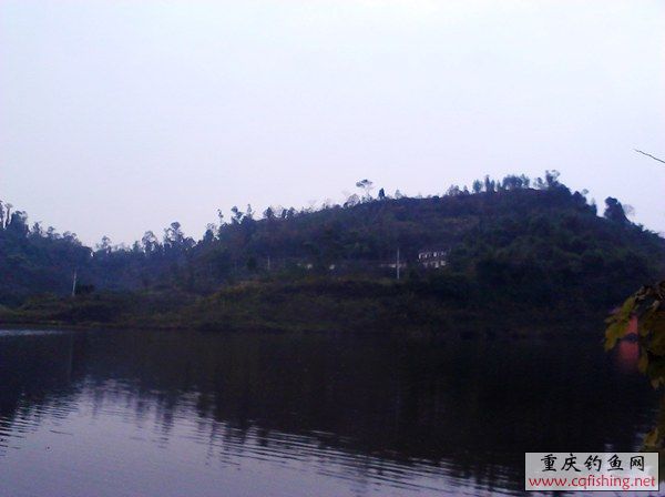IMG_20121215_143738_.jpg