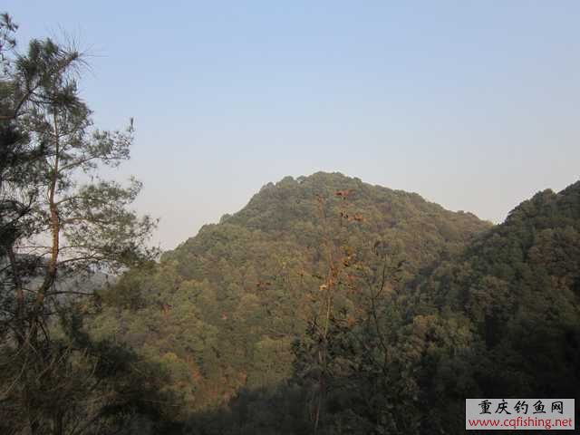 IMG_0033.jpg