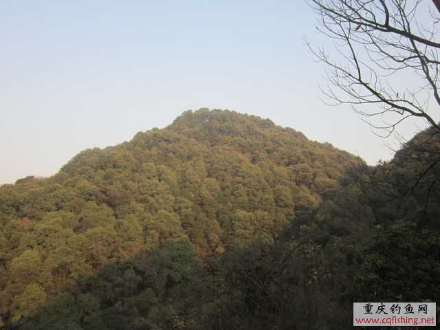 IMG_0053.jpg