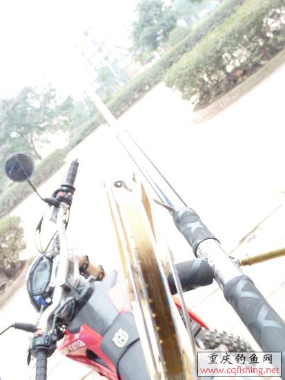 P1020700_.jpg
