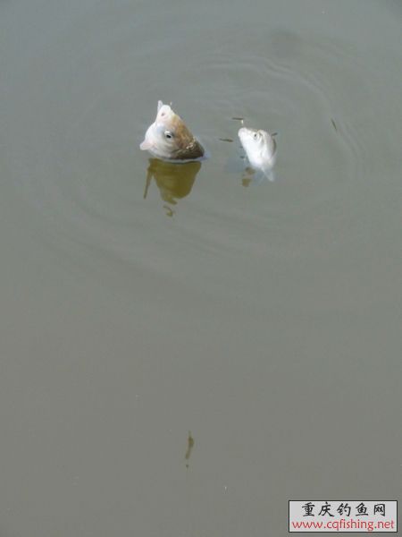 nEO_IMG_DSC07815.jpg