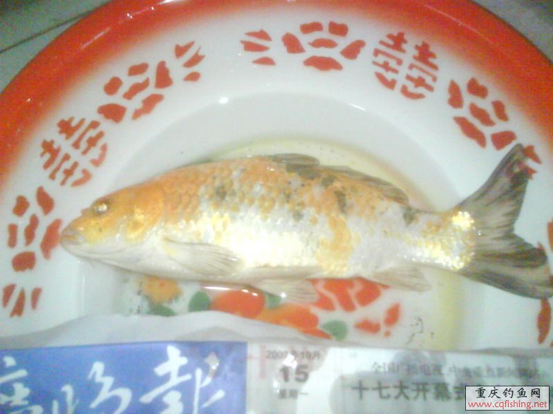 DSC00935.JPG