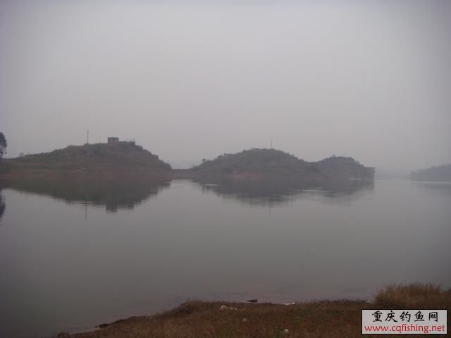 DSC04354.JPG