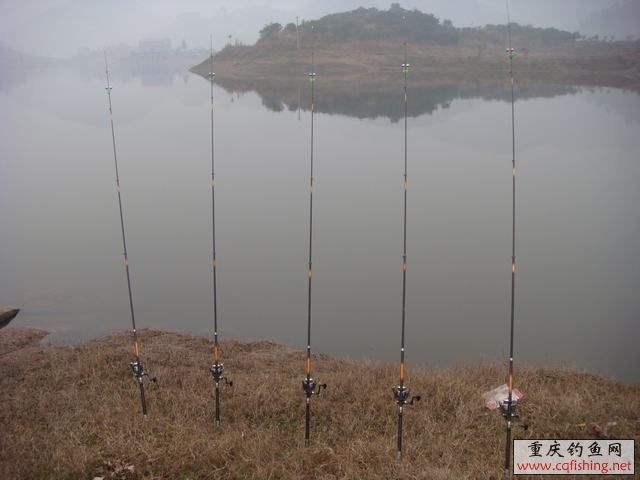 DSC04357.JPG