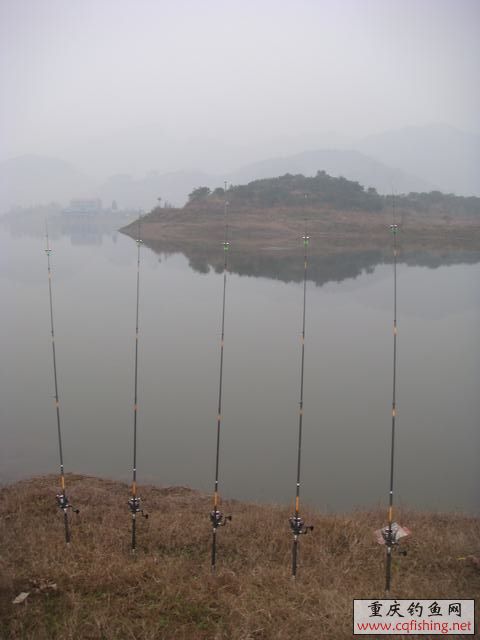 DSC04358.JPG