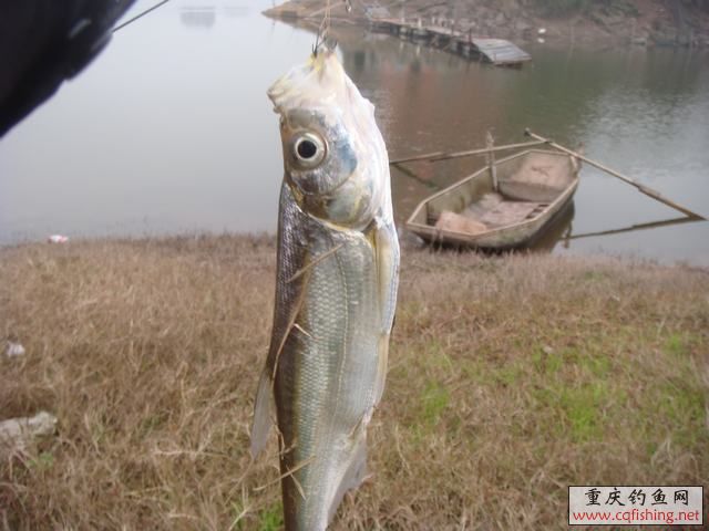 DSC04375.JPG