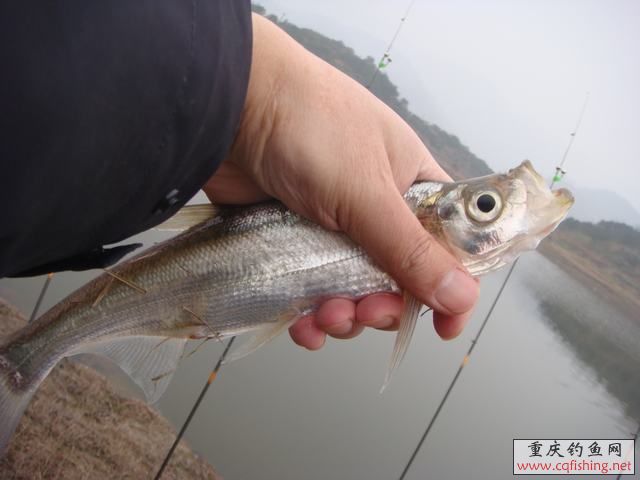 DSC04377.JPG