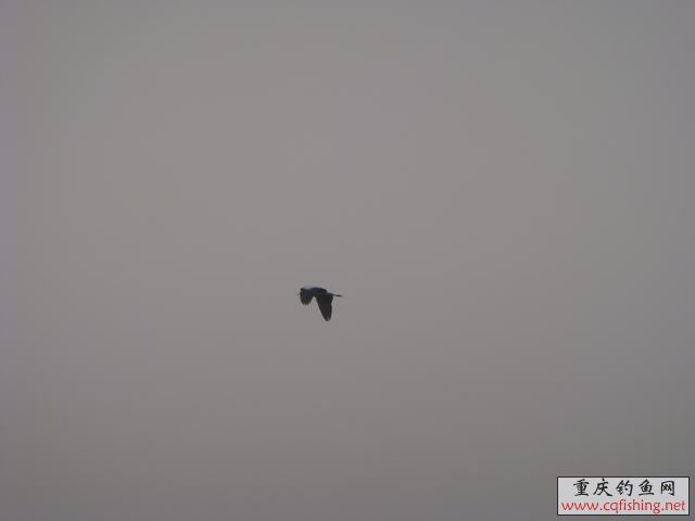 DSC04383.JPG