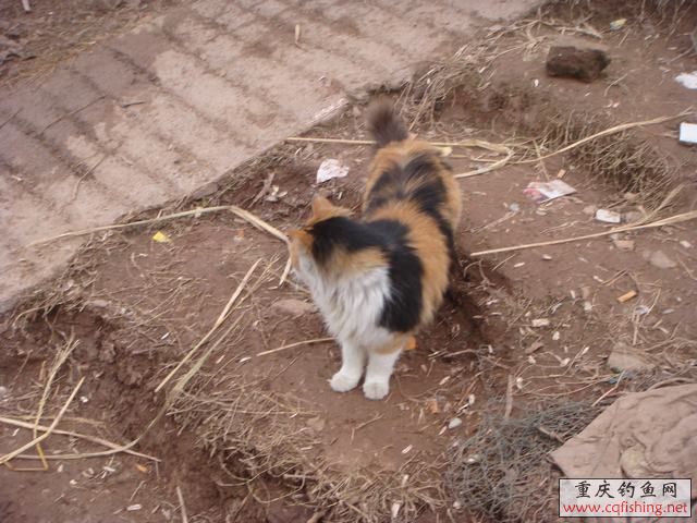 DSC04384.JPG
