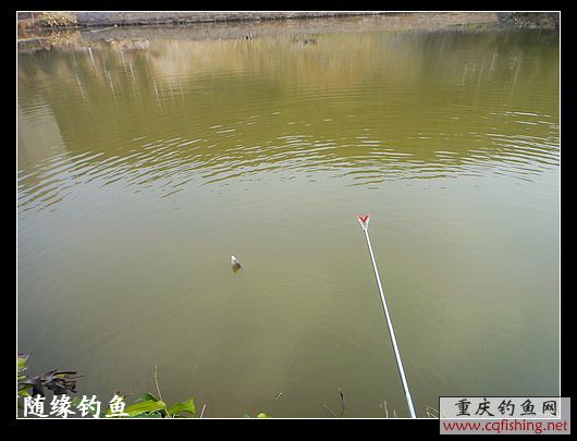 nEO_IMG_DSC00186.jpg