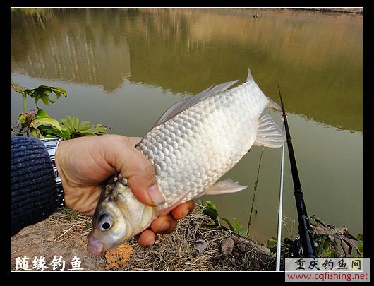 nEO_IMG_DSC00191.jpg