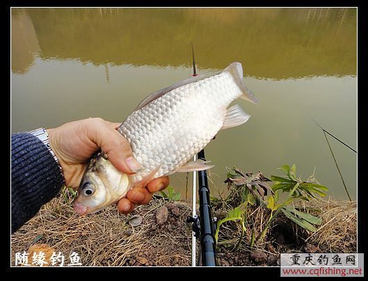 nEO_IMG_DSC00192.jpg