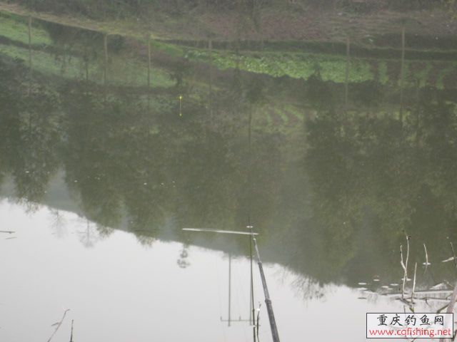 IMG_6710.JPG