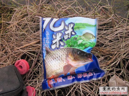 IMG_6494_副本_副本_副本_副本.jpg