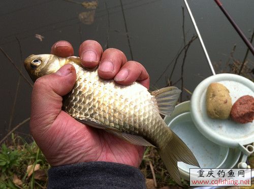 2012.12.23 ڶβ11_.jpg
