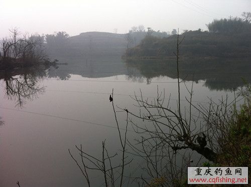 2012.12.23 9_.jpg