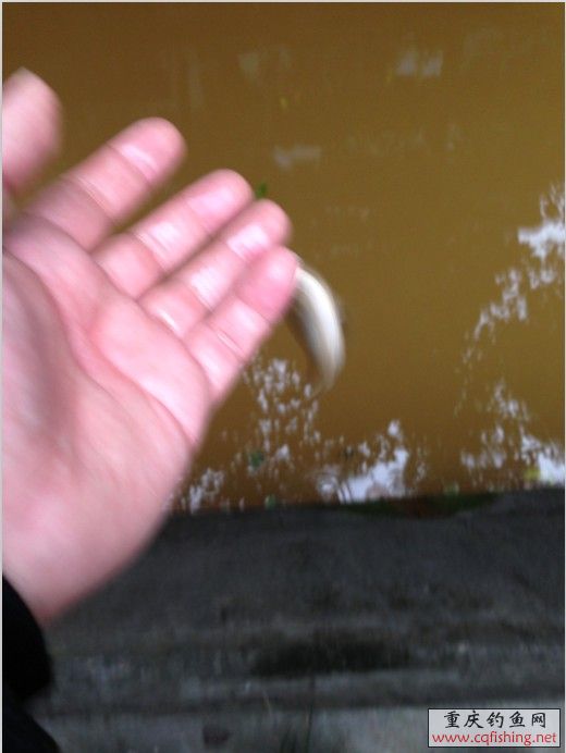 09.jpg