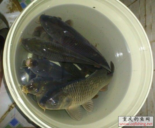 Сñ