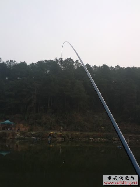IMG_20130203_163835.jpg