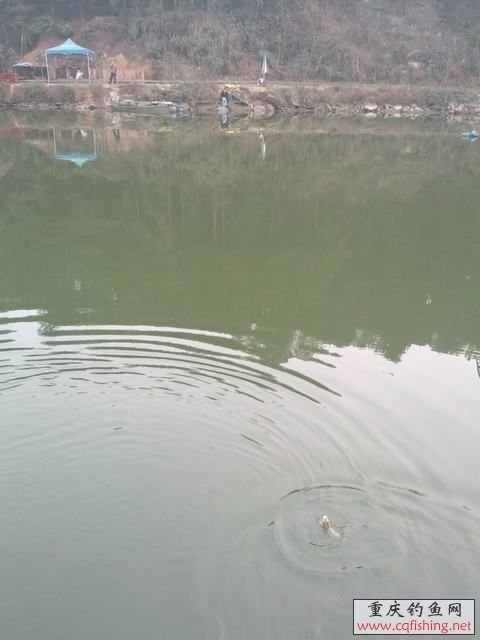 IMG_20130203_163853.jpg