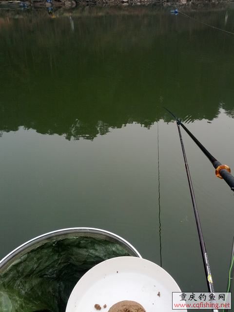 IMG_20130203_164146.jpg