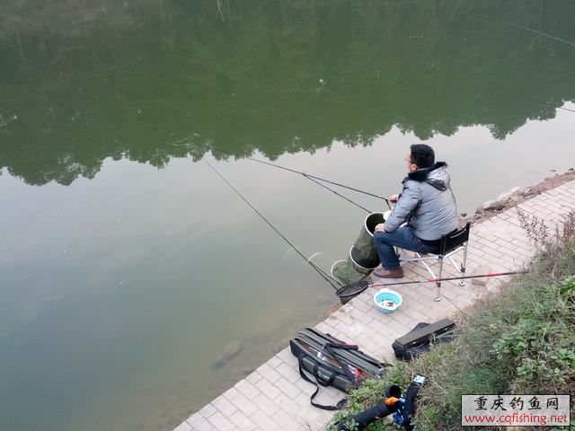 IMG_20130203_174513.jpg