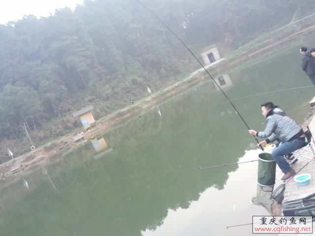 IMG_20130203_174545.jpg