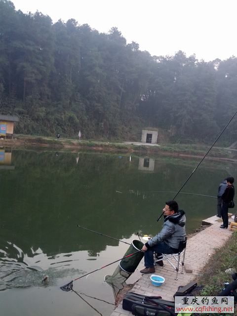 IMG_20130203_174556.jpg