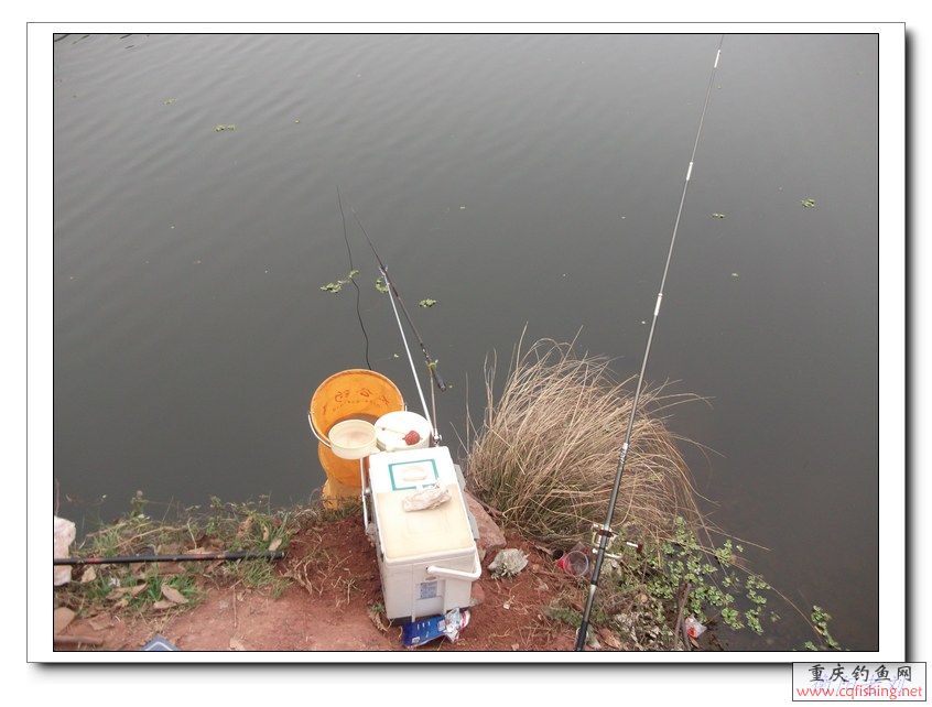 DSCF1790.jpg