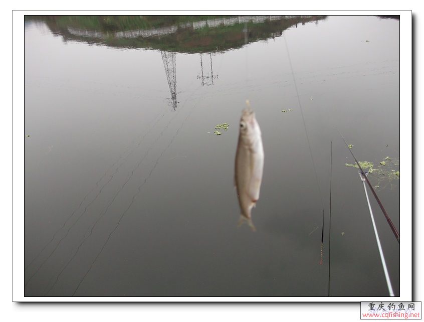 DSCF1805.jpg