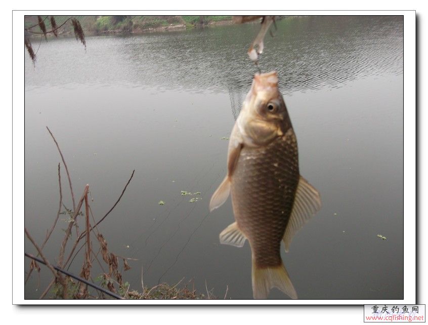 DSCF1788.jpg