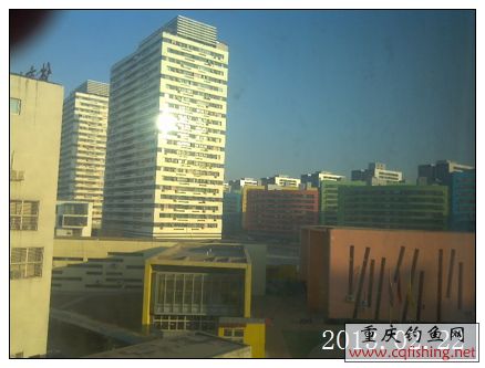 IMG_20130222_080109.jpg
