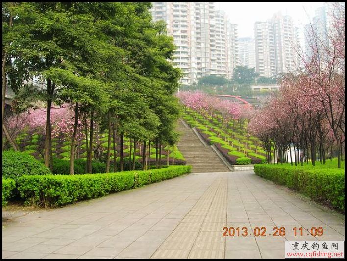 DSCN9801.JPG
