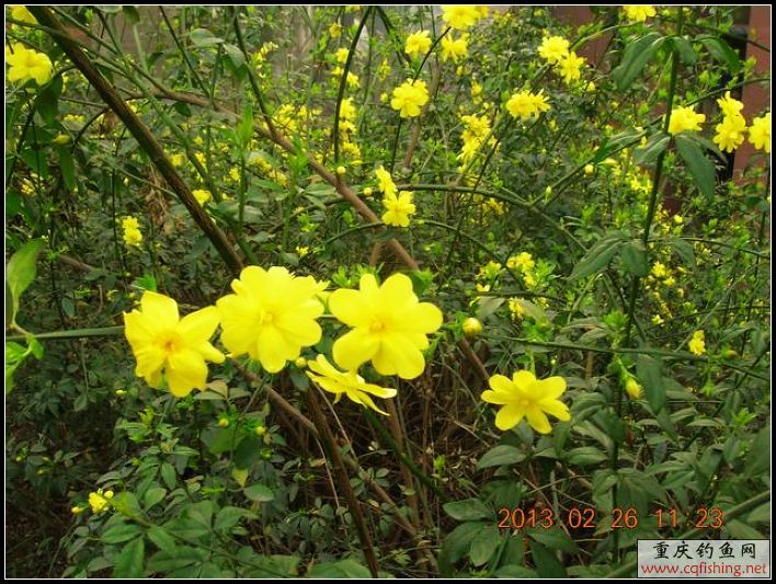 DSCN9820.JPG