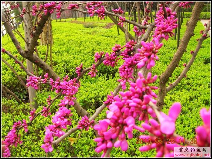 DSCN9832.JPG