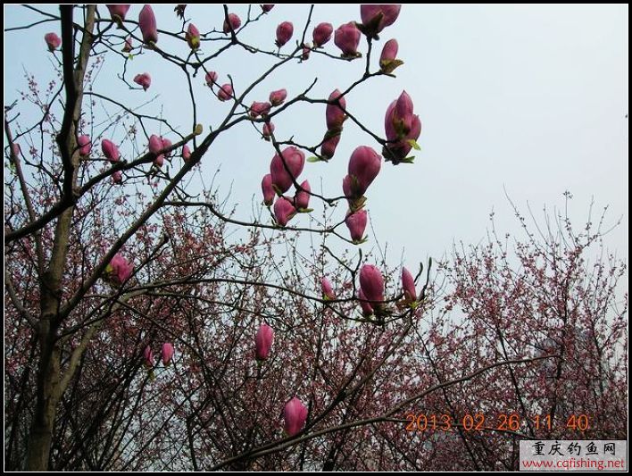 DSCN9834.JPG