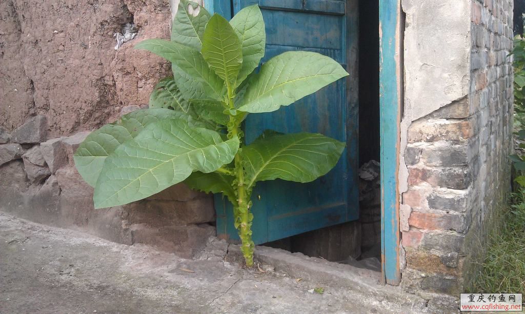 IMAG0679.jpg