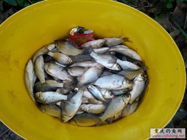 IMG_20130302_181435.jpg