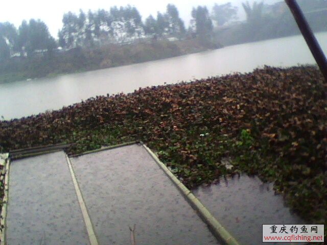 1303011224.jpg