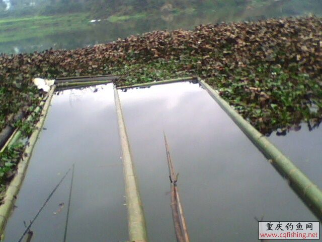 1303011228.jpg