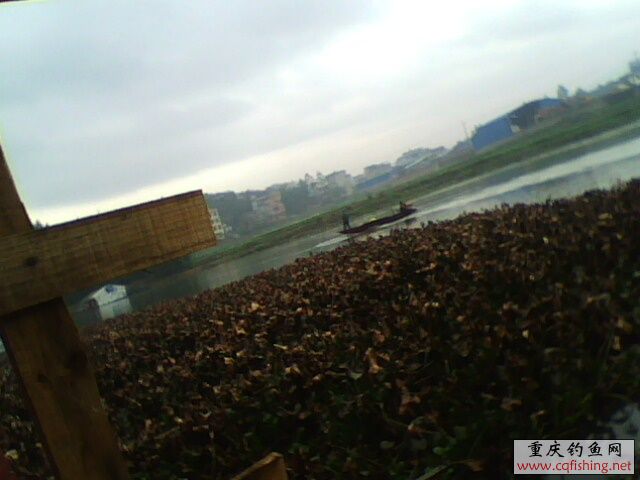1303011231.jpg