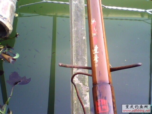 1303051260.jpg