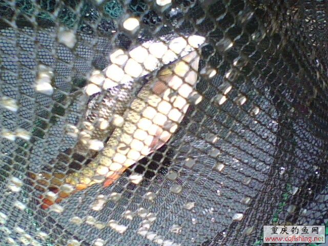 1303051262.jpg