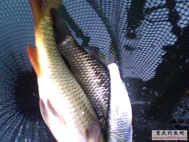 1303051263.jpg