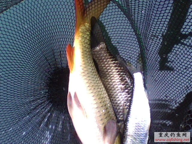 1303051264.jpg