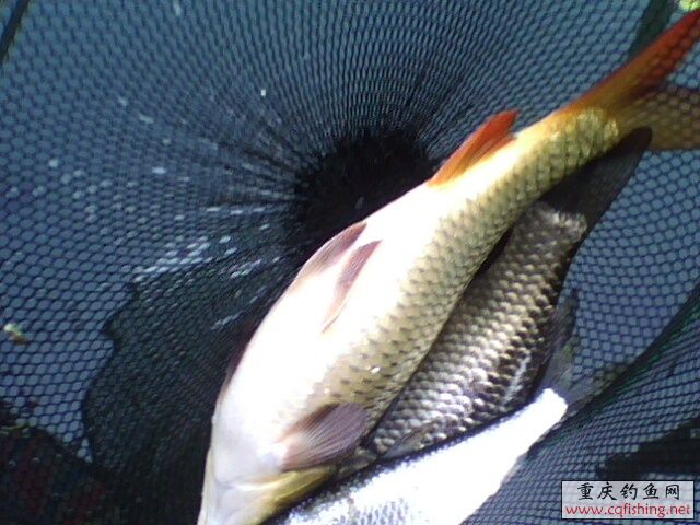 1303051265.jpg