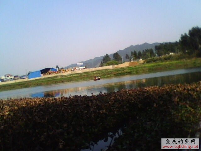1303051267.jpg