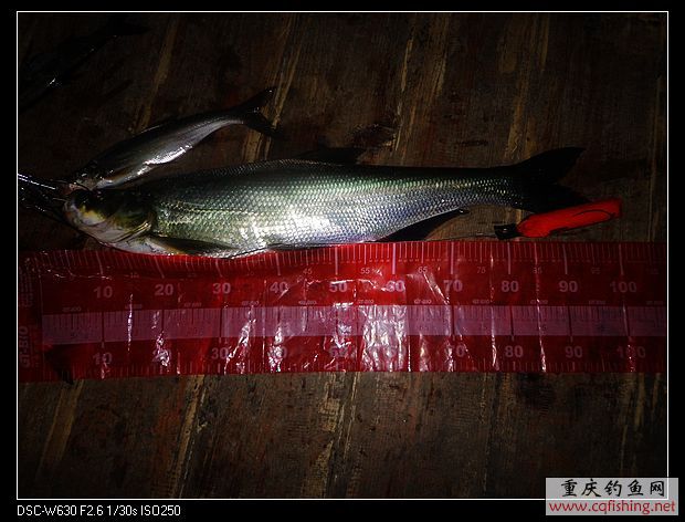 nEO_IMG_DSC01670.jpg